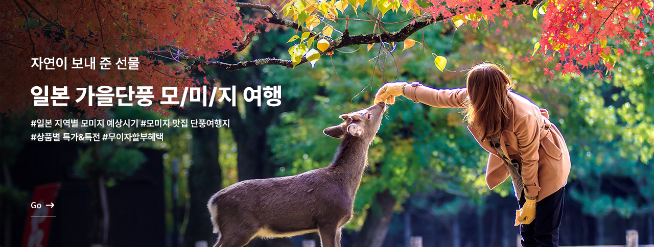 가을 단풍 여행